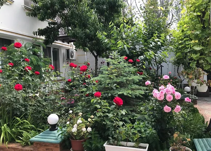 Vilari Odessa